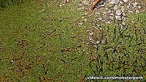 Cave Cunt – FreeMonsterPorn